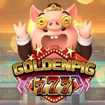 Golden Pig 777